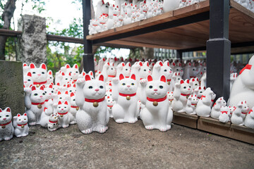 Japanese waving cat, lucky cat, fortune cat of temple in Tokyo, Japan