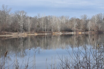 lake reflection natural scenery background winter woods