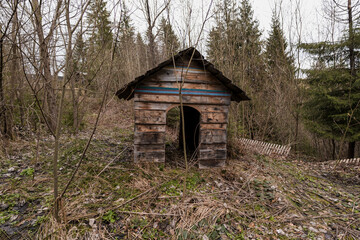 Decaying Wooden Shelter Surrounded by Overgrown Vegetation in a Forested Setting