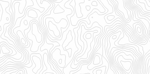 White topography topology vector white background fresh contour map texture. white seamless pattern Abstract background with a wave Topography and geography map grid abstract backdrop.