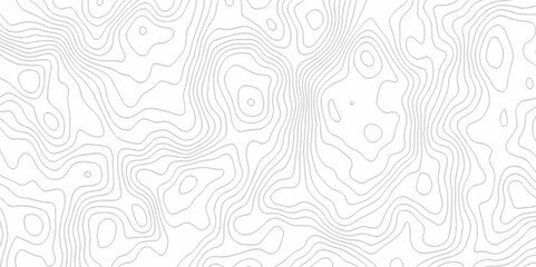 White topography topology vector white background fresh contour map texture. white seamless pattern Abstract background with a wave Topography and geography map grid abstract backdrop.