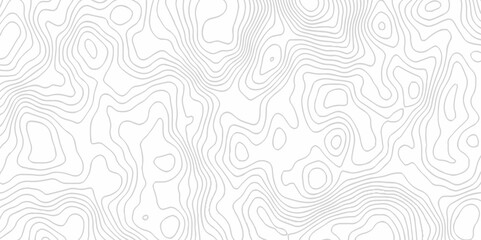 White topography topology vector white background fresh contour map texture. white seamless pattern Abstract background with a wave Topography and geography map grid abstract backdrop.