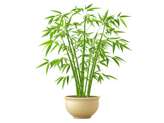 Fototapeta premium a bamboo plant in pot isolated on a transparent background