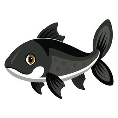 A  marine fish vector illustration 