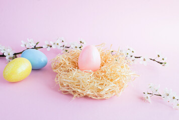 Colored easter eggs in a nest of straw and white flowering tree branches on the pink background. Copy space.