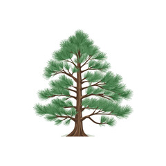 Tree Illustrations: Capturing the Essence of Nature in Art