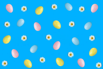 Colored easter eggs and white chamomile on the blue background. Top view. Flat lay. Pattern.