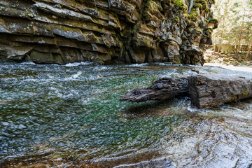 Tranquil Stream with Mossy Rocks and Fallen Log in Serene Forest Setting