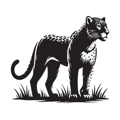 Majestic jaguar silhouette for digital and print design - Jaguar black vector
