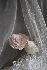 Delicate Pink and White Roses on Lace Veil