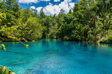 Lake with crystal blue water in tropical rain forest in Indonesia.
