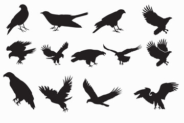 Eagle Vector Illustration Set, Black and White Silhouettes.