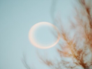 Pastel Night Sky with Dreamy Lunar Halo and Blurred Branches