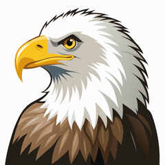 american bald eagle illustration