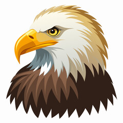 american bald eagle