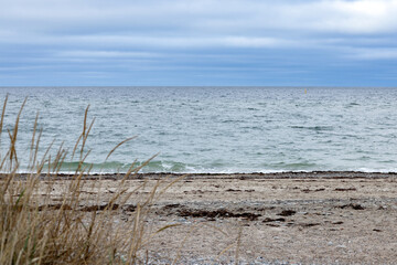 Sandy beach with pebbles and algae on the North Sea coast