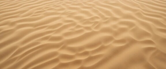 Obraz premium Golden Desert Sand Undulating Waves Texture Background