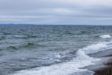 Seagull and a view of an island in the North Sea on a gloomy autumn day
