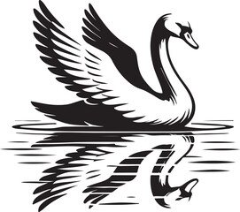 black and white swan