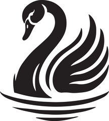 black and white swan