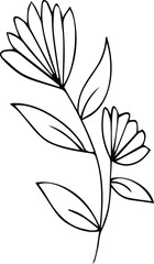 vector flower design without background