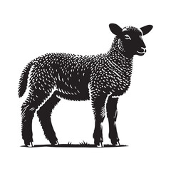 Captivating lamb silhouette for digital and print use - Lamb black vector
