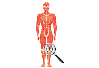 Graphic illustrating common body health problems and issues