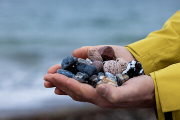 Multicolored pebbles from the sea beach in men's palms on a blurred background