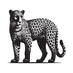 Leopard silhouette for modern digital designs - Leopard black vector
