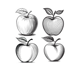 Apple line art silhouette