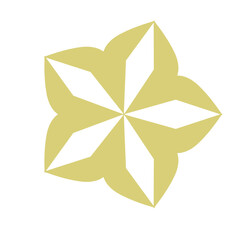 abstract star shape with flower