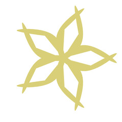 yellow flower isolated on white