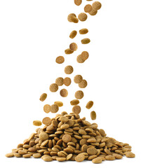 Dry pet food falling onto heap on white background