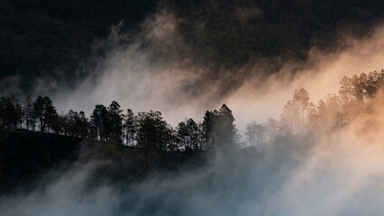 Niebla en el Geoparque Villuercas Ibores Jara
