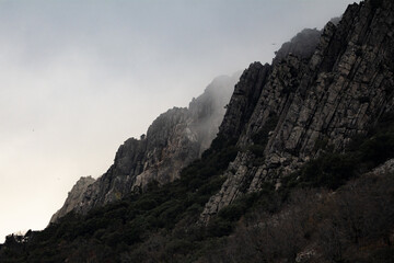 Niebla entre roquedos