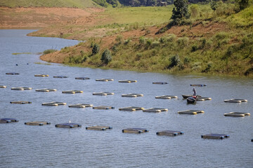Criação de peixes na represa com varios caixotes com fundo da natureza selvagem.