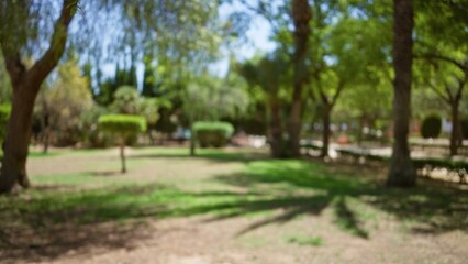 Outdoor park scene with blurred trees, grass, and pathways under bright sunlight creating a serene, bokeh background.