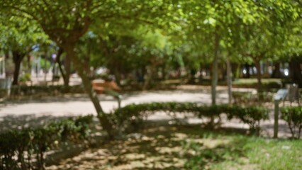 Obraz premium Blurred image of an outdoor park with trees and walkways creating a serene and defocused background with green foliage and shadows