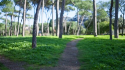 Blurred view of verdant villa borghese gardens in rome with tall trees lining a sunlit path, creating a serene and peaceful atmosphere.
