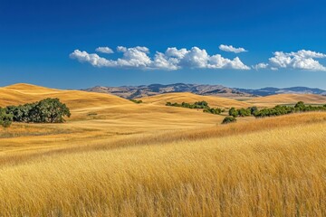 Expansive Golden Meadows Under a Bright Blue Sky with Fluffy White Clouds, Showcasing Rolling Hills and Lush Green Trees in a Serene Landscape