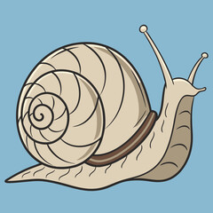 Realistic full-body vector art of a garden snail, featuring intricate details and vibrant colors. Perfect for digital projects, illustrations, and educational materials.