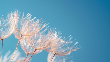 Dandelion seeds against blue sky background, Generative AI
