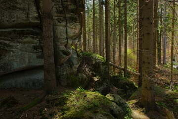 Szklarska Poręba, Karkonosze, rocks in sunlit forest, golden dry leaves on the ground.
