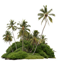  Isolated tropical island with tall palm trees and lush vegetation against a white background. Palm trees are bent by the wind, creating a sense of movement and freshness.