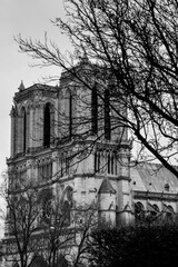 Notre dame cathedral landscape