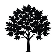 Obraz premium Maple tree isolated silhouette vector on white background.