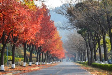 A scenic autumn road bordered by vibrant red-leaf trees.