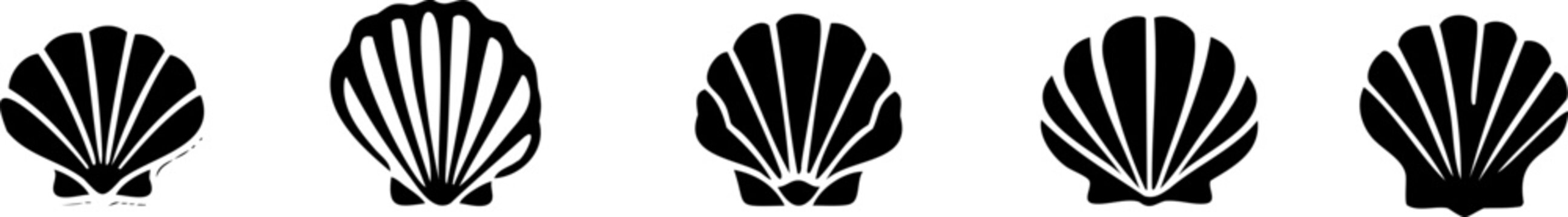 Silhouette of A series of five black shell icons in varying sizes, showcasing a minimalist design against a light background.