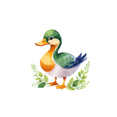 Obraz premium Adorable Watercolor Duckling with Green Head and Orange Feet