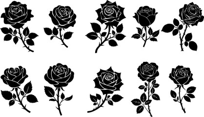 Silhouette of rose isolated on white background. Vector illustration.
